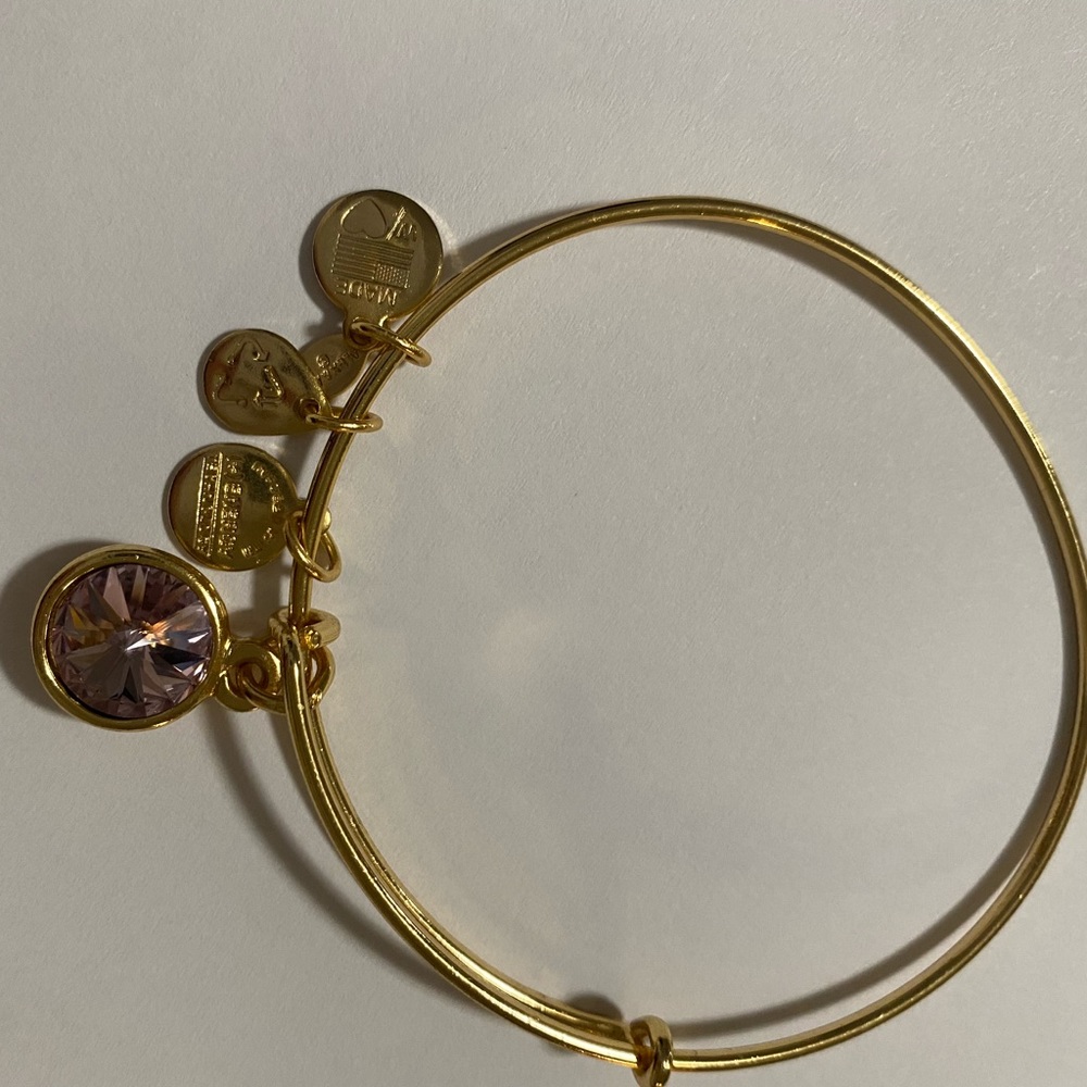 Alex and Ani Light Amethyst Bangle